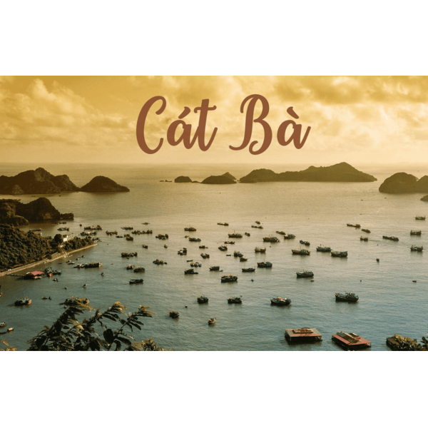 TOUR DU LỊCH ĐẢO CÁT BÀ 3 NGÀY 2 ĐÊM