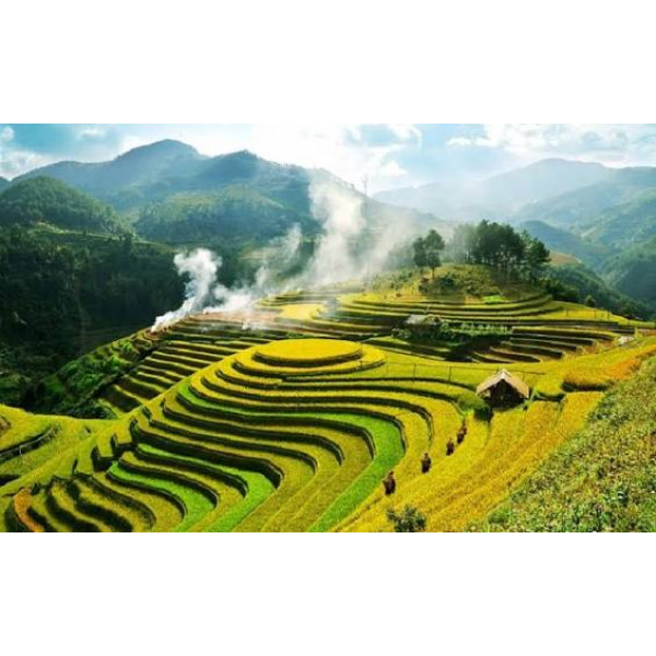 Pù Luông – Khúc ca đại ngàn và giấc mơ xanh xứ Thanh