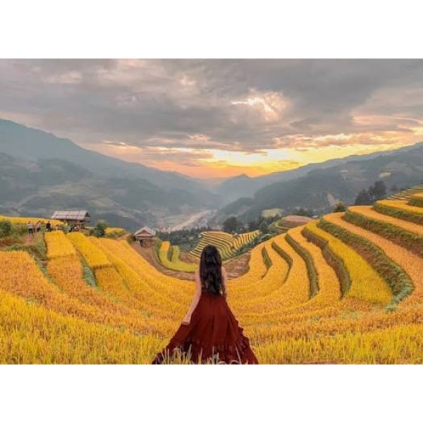 Nghĩa Lộ: Bản Tình Ca Giữa Lòng Tây Bắc