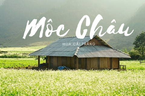 Mộc Châu: Bản Tình Ca Giữa Mây Ngàn Tây Bắc