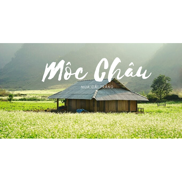 Mộc Châu: Bản Tình Ca Giữa Mây Ngàn Tây Bắc