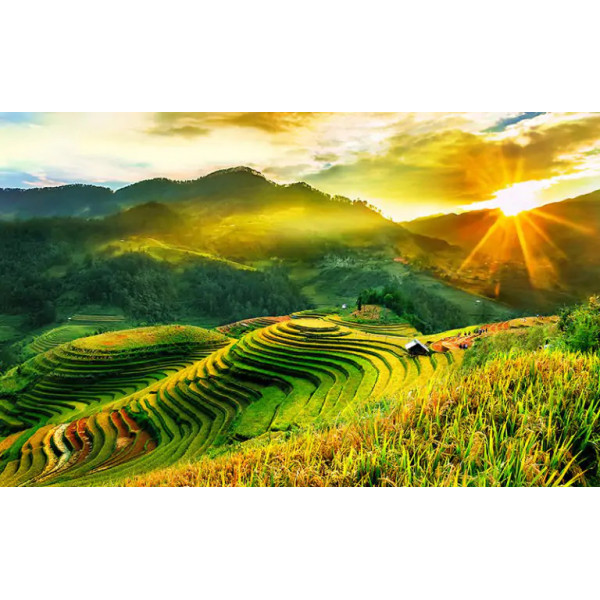 TUYỆT TÁC RUỘNG BẬC THANG : KHI ĐẤT TRỜI HÒA LÀM MỘT