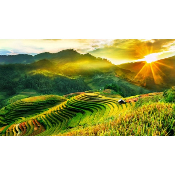 Nghĩa Lộ – nơi vẻ đẹp Tây Bắc chạm đến trái tim
