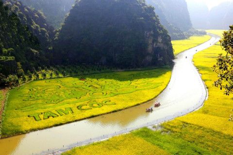 TAM CỐC – NINH BÌNH: KHÚC CA ĐỒNG QUÊ GIỮA LÒNG DI SẢN