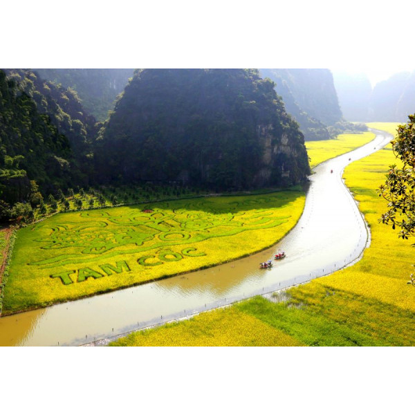TAM CỐC – NINH BÌNH: KHÚC CA ĐỒNG QUÊ GIỮA LÒNG DI SẢN