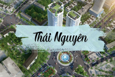 Thái Nguyên: vũ điệu của ngàn xanh, huyền thoại và nét tình xứ Trà